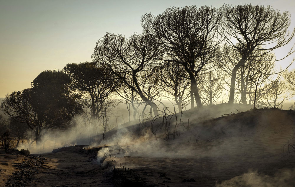 La llegada del verano aumenta los peligros de incendios en Andalucía