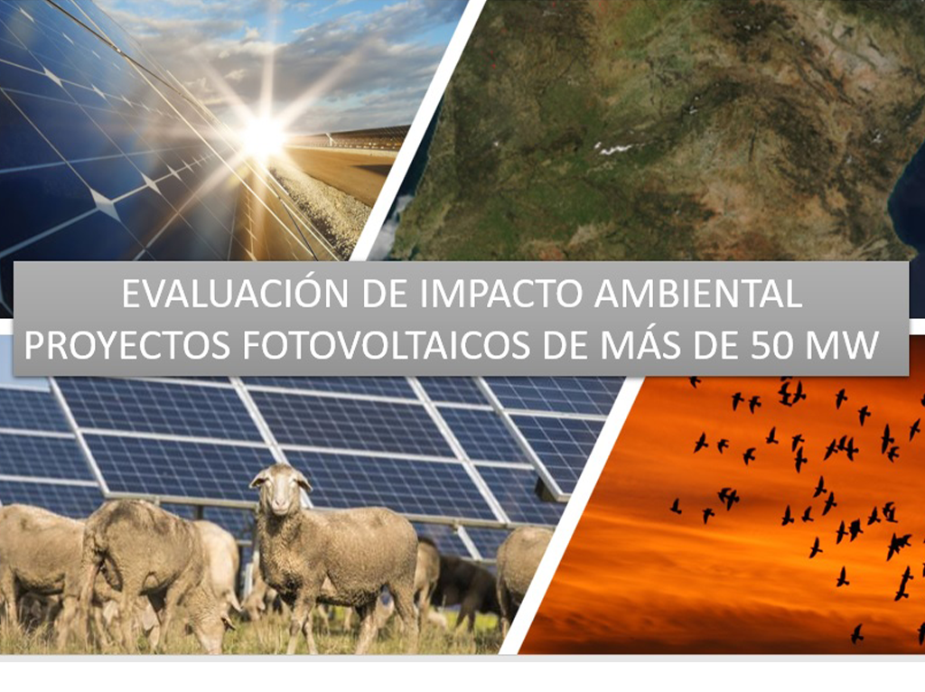 Tramitación ambiental de proyectos fotovoltaicos de competencia estatal
