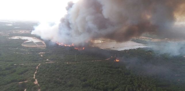 Devastador incendio forestal iniciado en Moguer