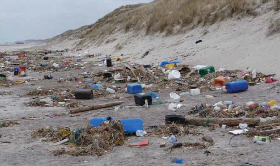 Los desechos marinos plásticos transportan especies invasoras en los océanos del mundo