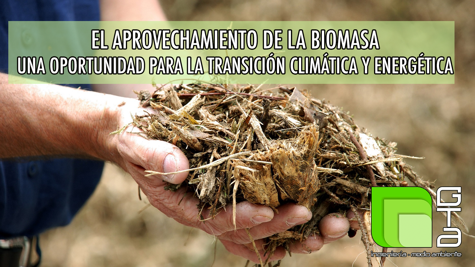 El aprovechamiento de la biomasa. Una oportunidad para la transición climática y energética.
