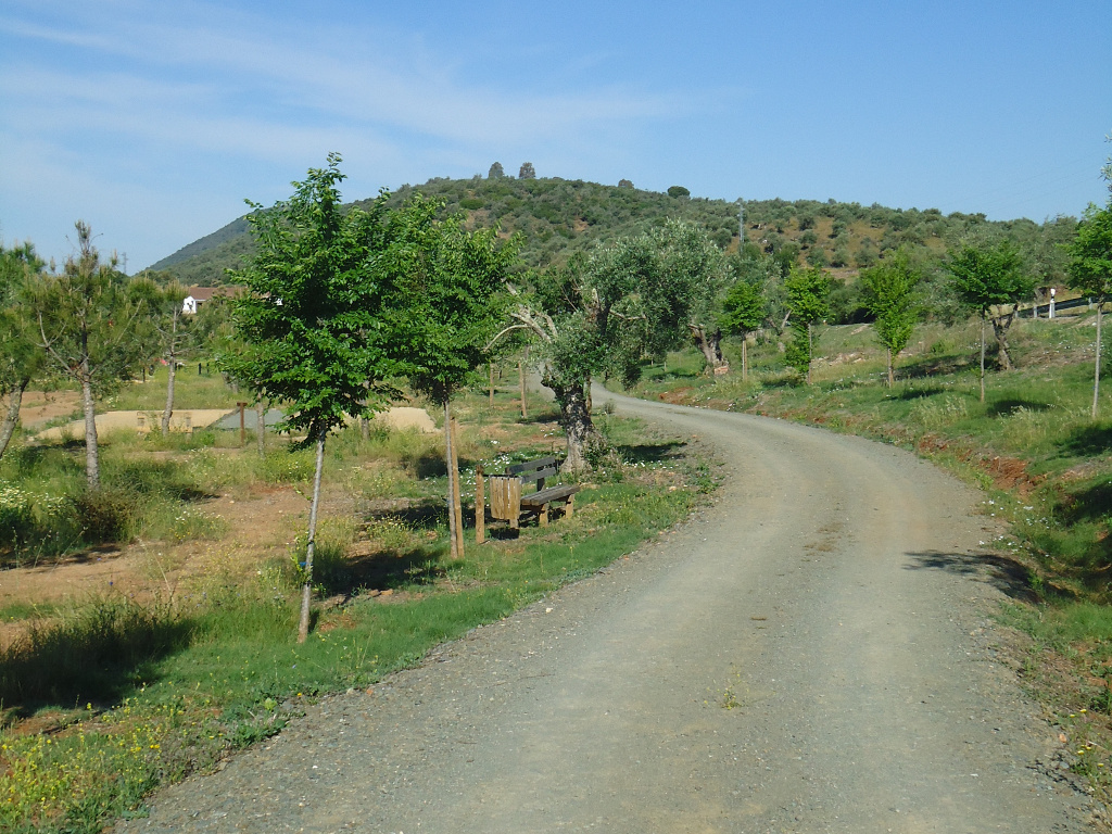 Restauración ambiental de escombrera y arroyo La Bujarda