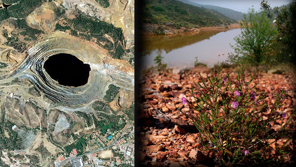 Tramitación ambiental de proyectos mineros en Andalucía 02